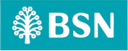 BSN logo